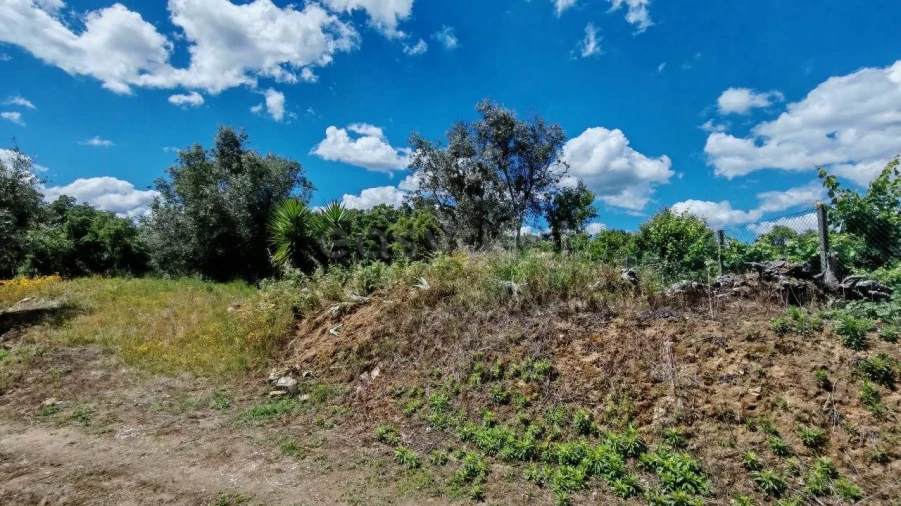 Moradia T2 para Venda em Serra e Junceira Foto 21