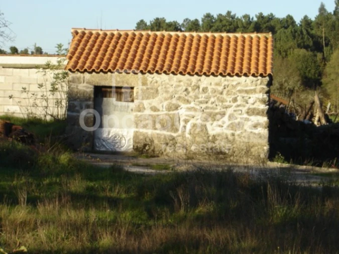 Terreno para Venda em Couto de Baixo e Couto de Cima Foto 2