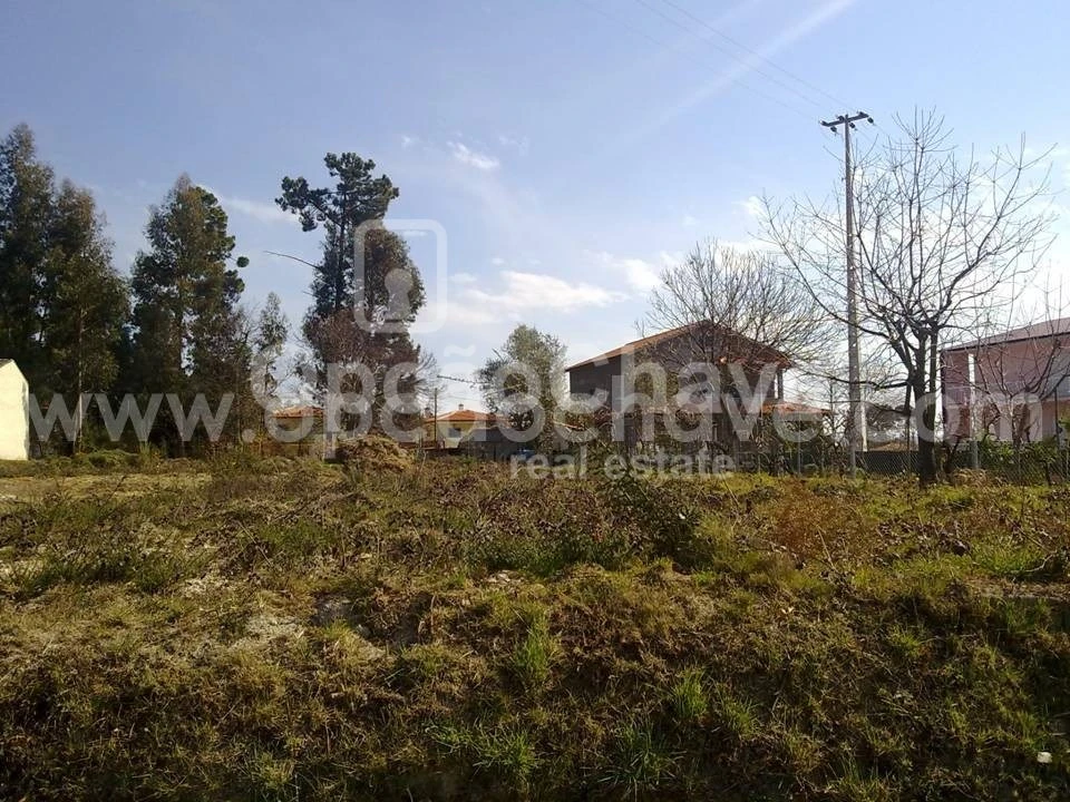 Terreno para Venda em Campo Foto 6