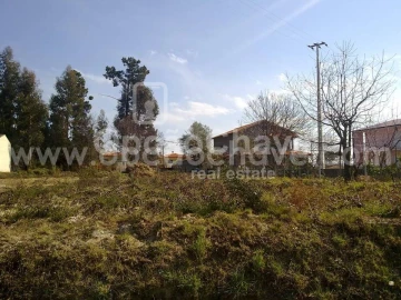 Terreno para Venda em Campo