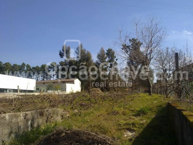 Terreno para Venda em Campo Foto 2