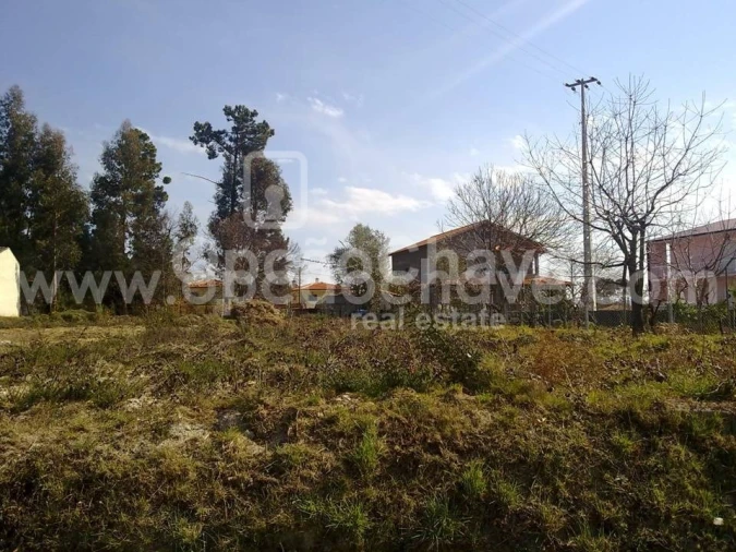 Terreno para Venda em Campo Foto 6