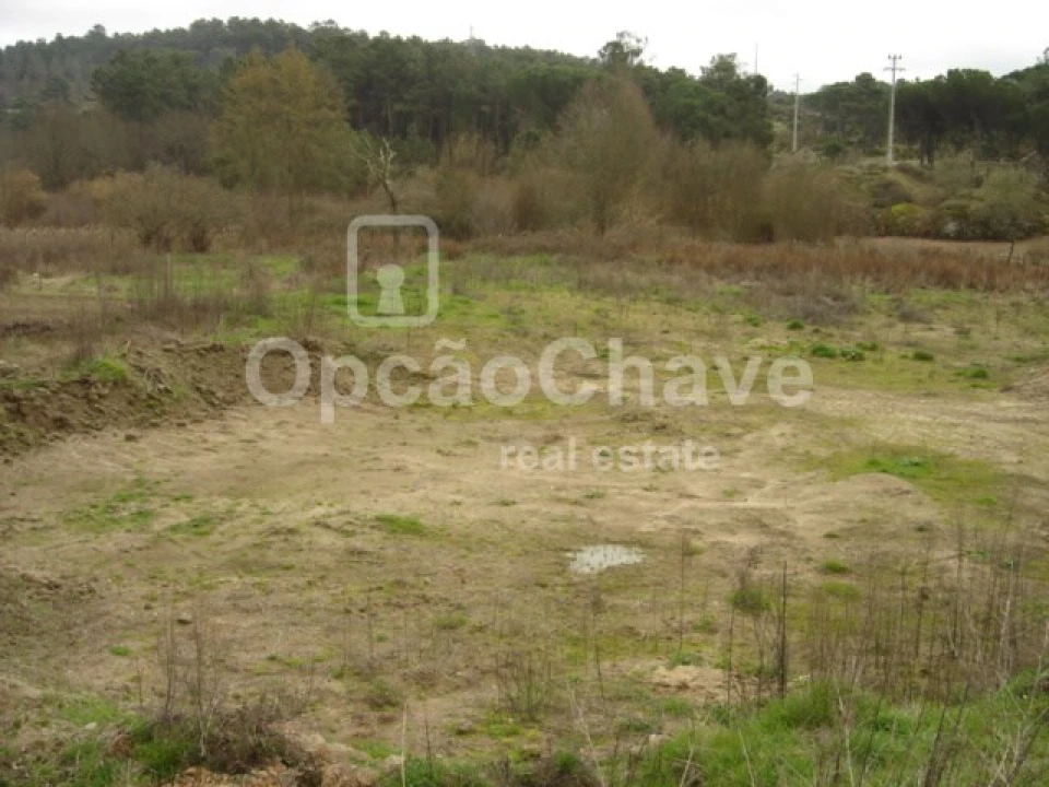 Terreno para Venda em São João de Lourosa Foto 4
