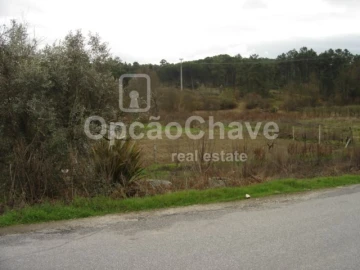 Terreno para Venda em São João de Lourosa