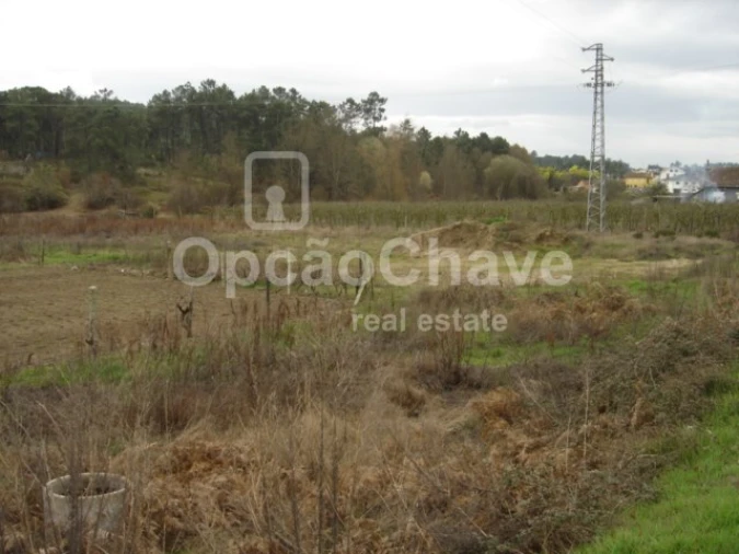 Terreno para Venda em São João de Lourosa Foto 2