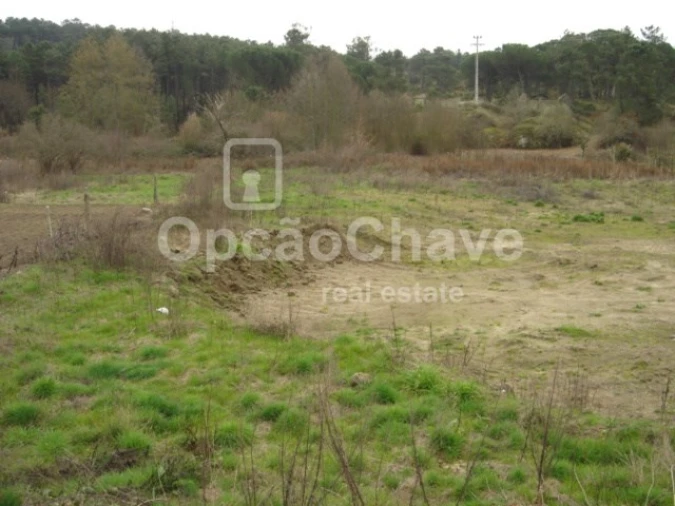 Terreno para Venda em São João de Lourosa Foto 3