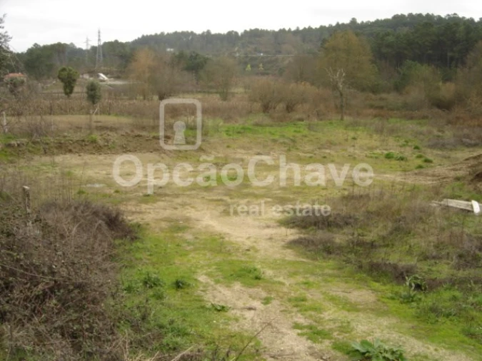 Terreno para Venda em São João de Lourosa Foto 5