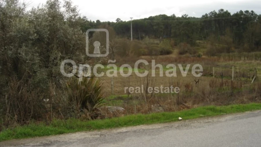 Terreno para Venda em São João de Lourosa