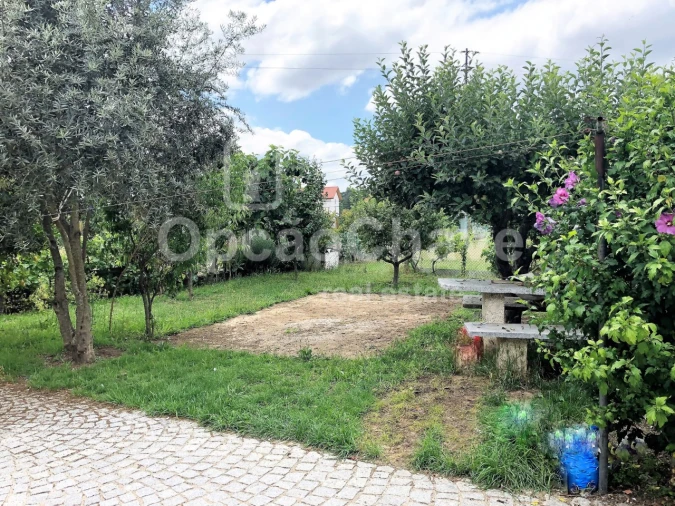 Terreno para Venda em Campo Foto 6