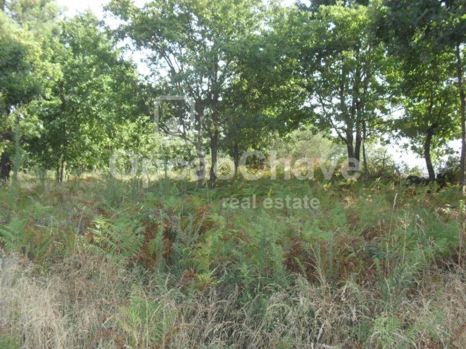 Terreno para Venda em Fragosela Foto 2