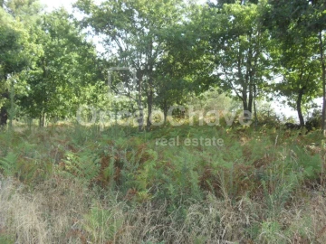 Terreno para Venda em Fragosela