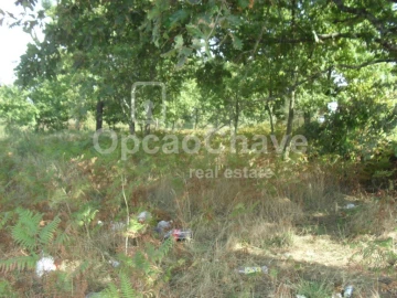 Terreno para Venda em Fragosela