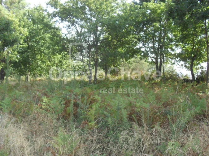 Terreno para Venda em Fragosela Foto 2