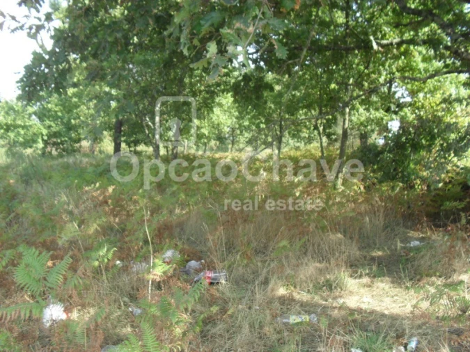 Terreno para Venda em Fragosela Foto 3