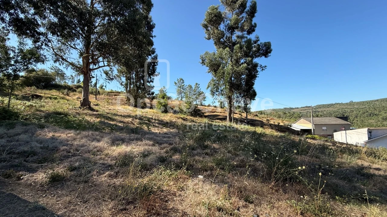 Terreno para Venda em Cavernães Foto 1