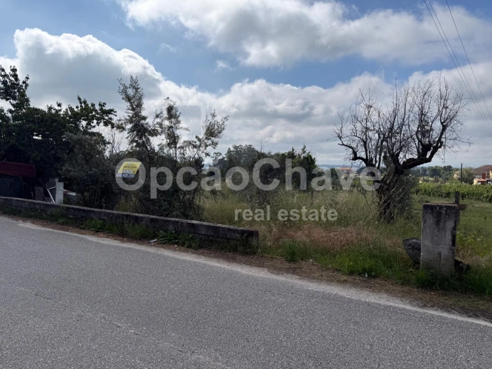 Terreno para Venda em Lajeosa do Dão Foto 1