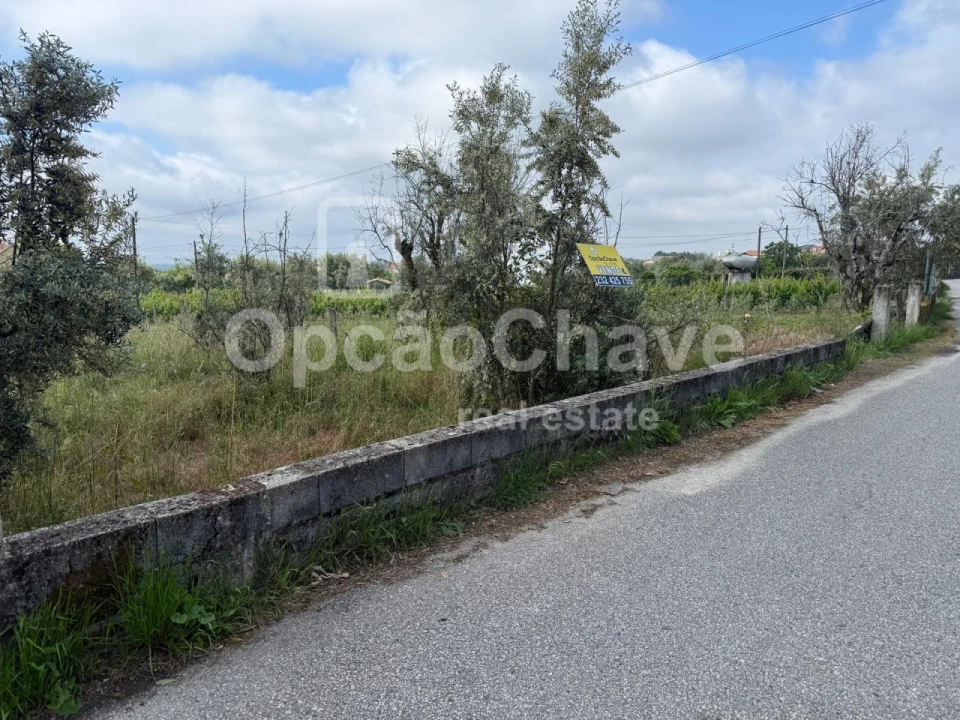 Terreno para Venda em Lajeosa do Dão Foto 3