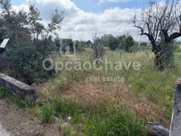 Terreno para Venda em Lajeosa do Dão