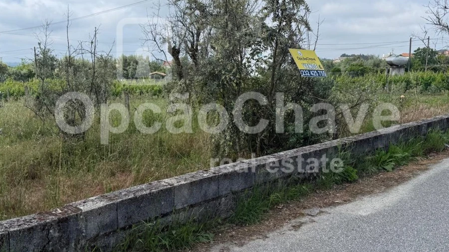 Terreno para Venda em Lajeosa do Dão