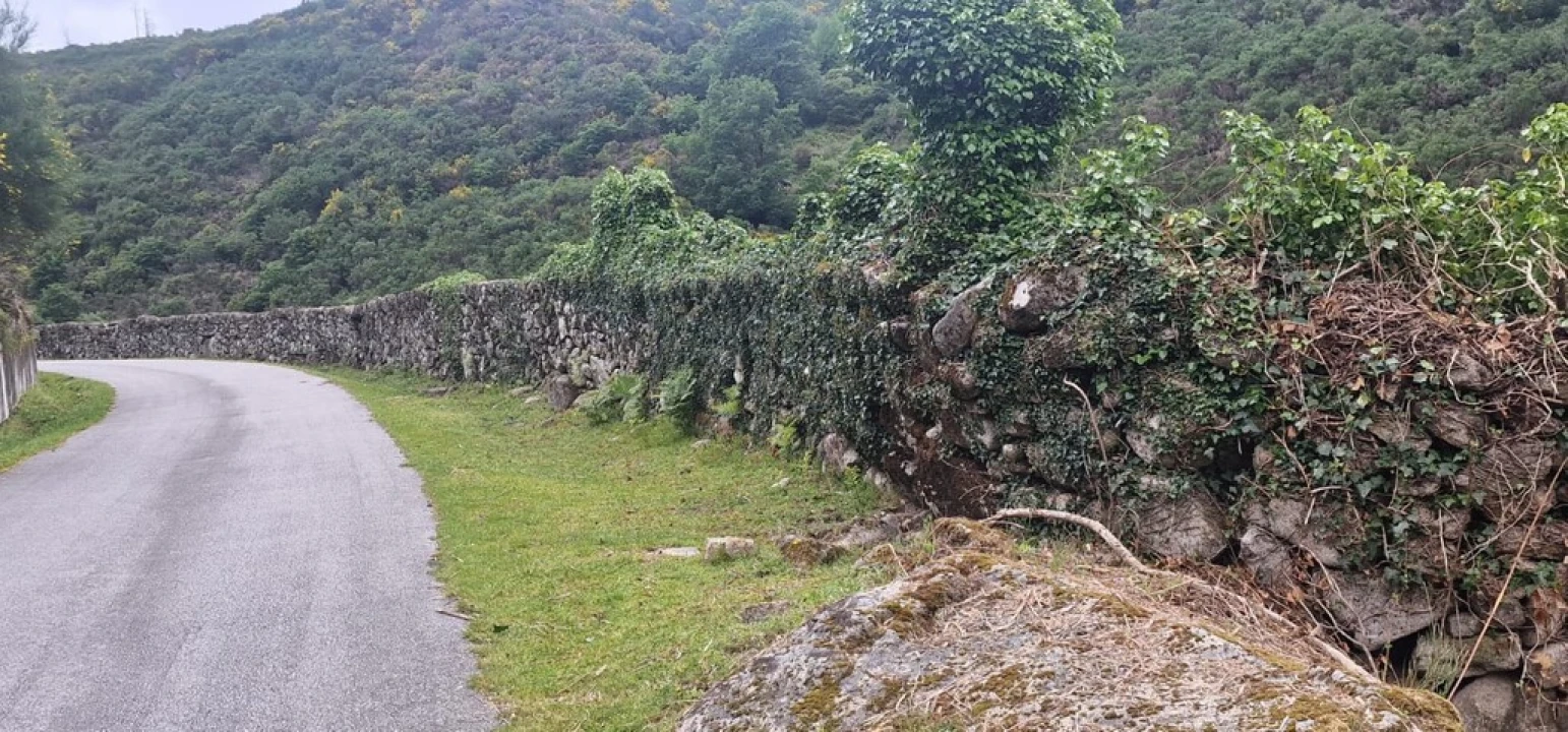 Terreno para Venda em Ruivães e Campos Foto 7