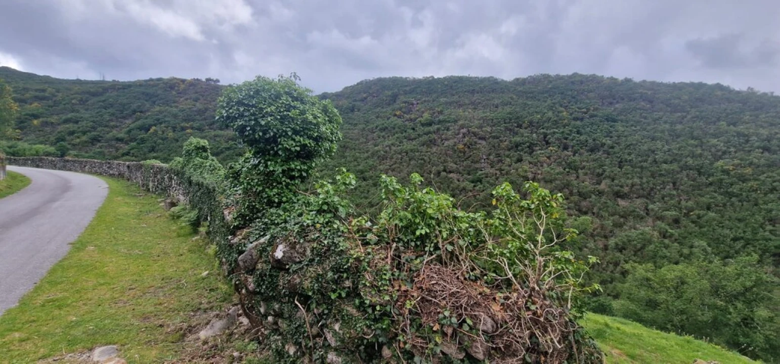 Terreno para Venda em Ruivães e Campos Foto 5