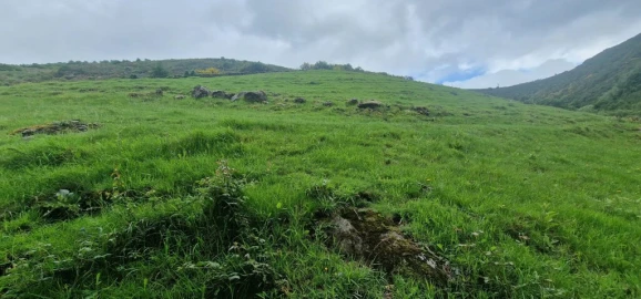 Terreno para Venda em Ruivães e Campos