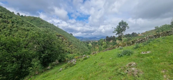 Terreno para Venda em Ruivães e Campos