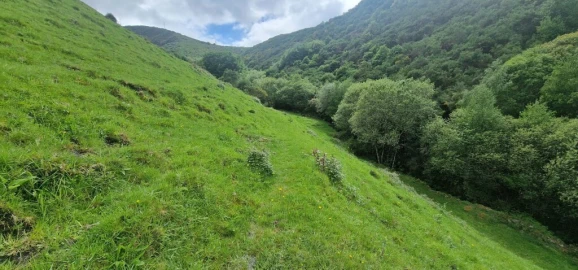 Terreno para Venda em Ruivães e Campos