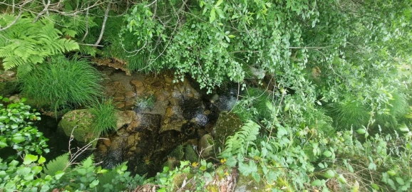 Terreno para Venda em Ruivães e Campos