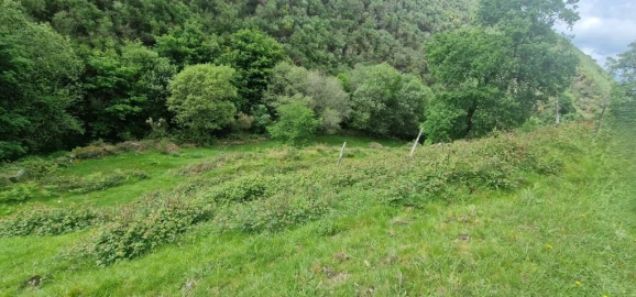 Terreno para Venda em Ruivães e Campos