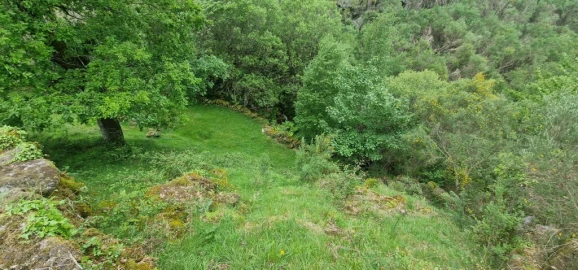 Terreno para Venda em Ruivães e Campos