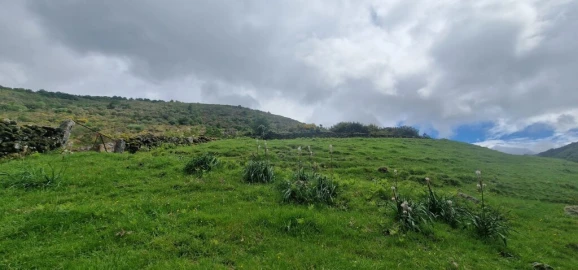 Terreno para Venda em Ruivães e Campos