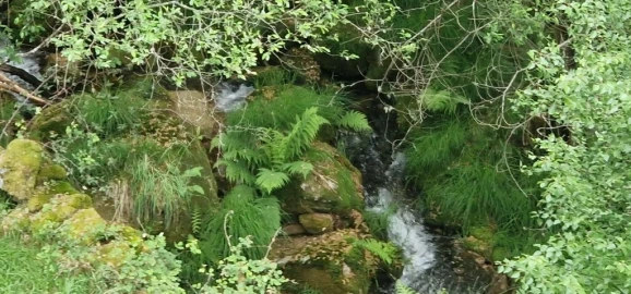 Terreno para Venda em Ruivães e Campos