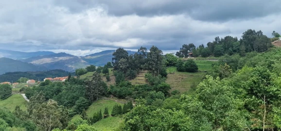 Terreno para Venda em Ruivães e Campos
