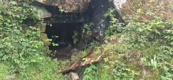 Terreno para Venda em Ruivães e Campos