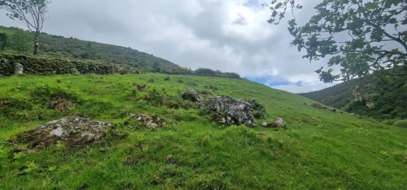 Terreno para Venda em Ruivães e Campos