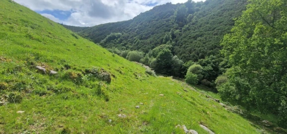 Terreno para Venda em Ruivães e Campos
