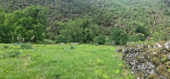 Terreno para Venda em Ruivães e Campos