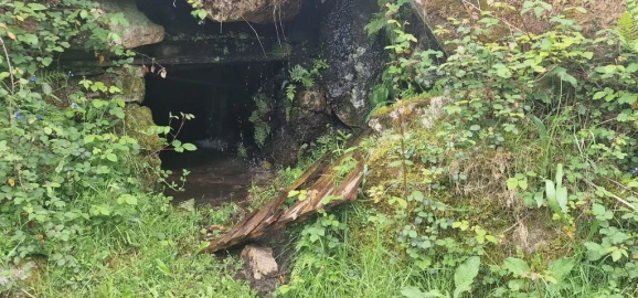 Terreno para Venda em Ruivães e Campos