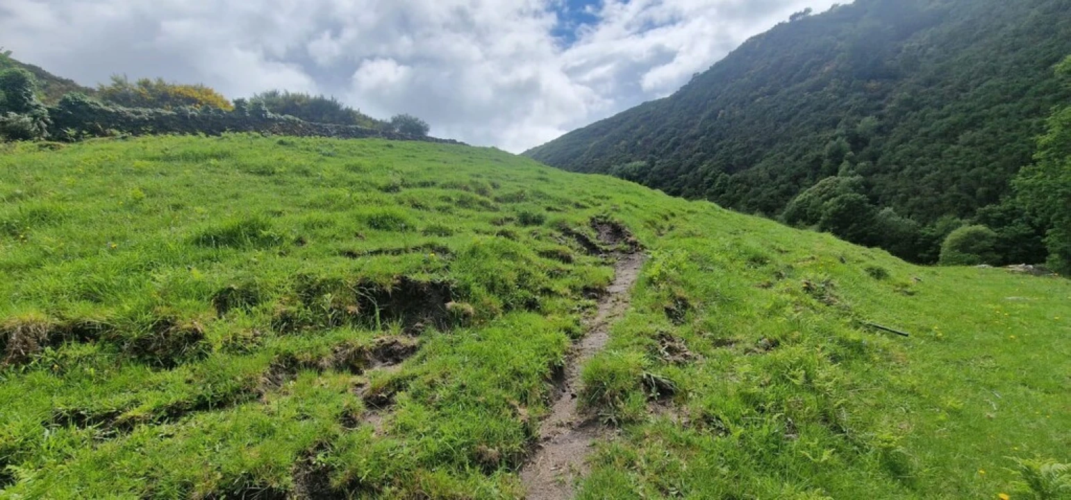 Terreno para Venda em Ruivães e Campos Foto 32