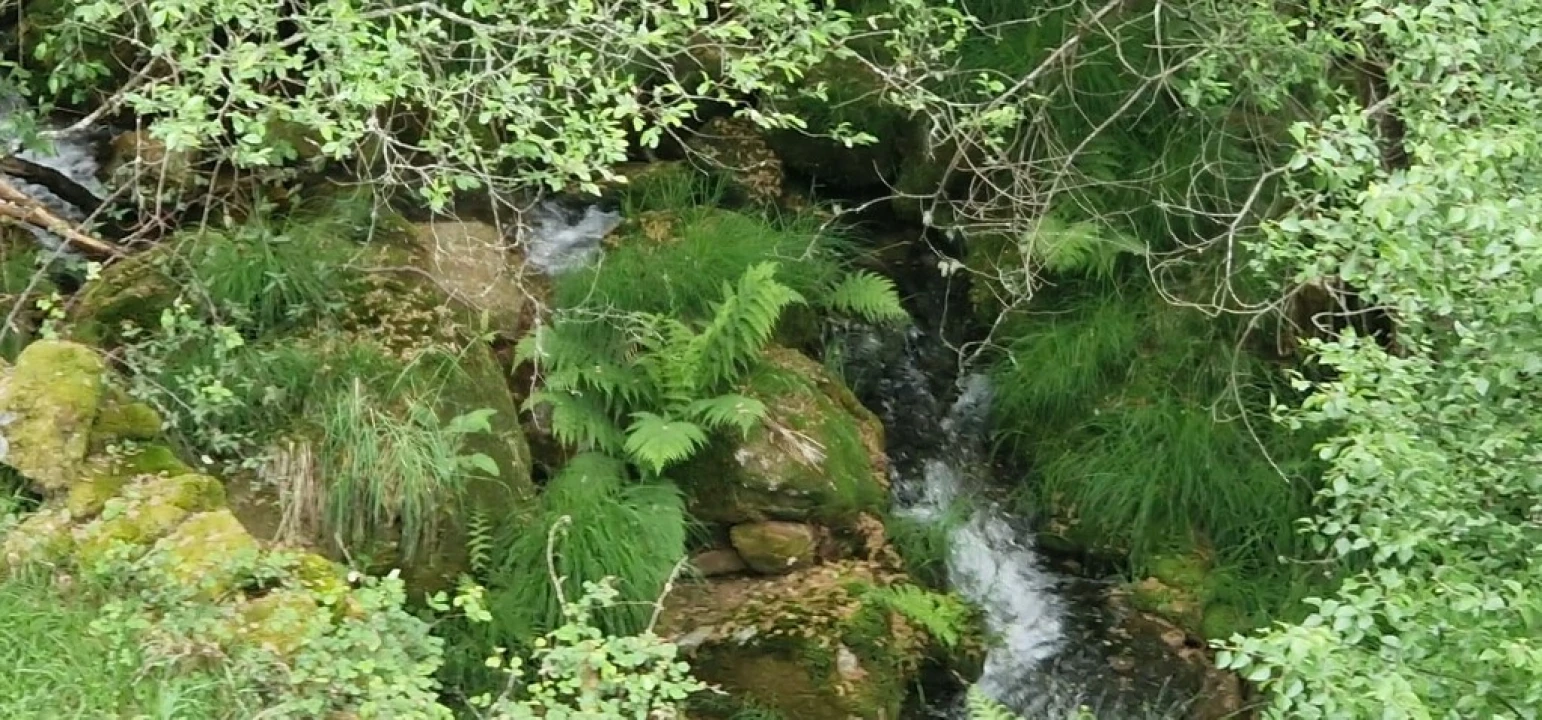 Terreno para Venda em Ruivães e Campos Foto 21