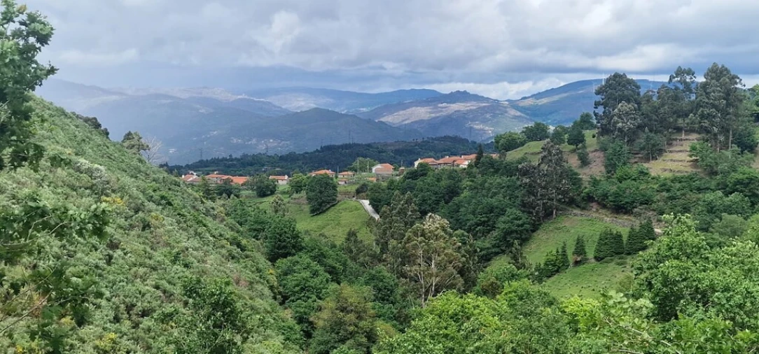 Terreno para Venda em Ruivães e Campos Foto 2