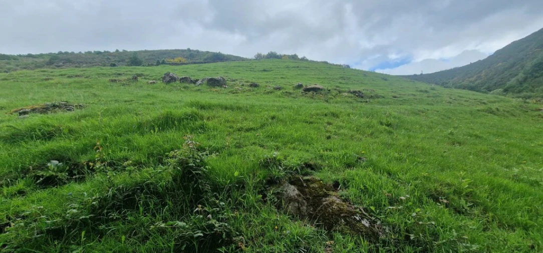 Terreno para Venda em Ruivães e Campos Foto 17