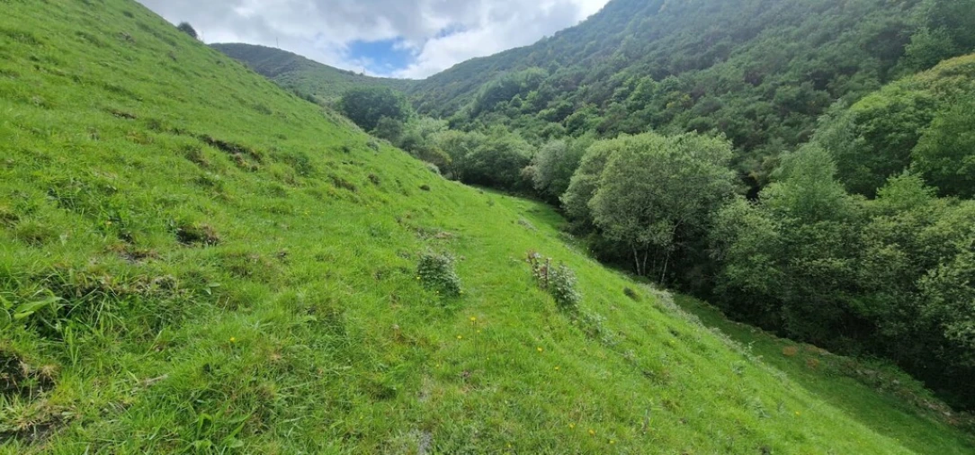 Terreno para Venda em Ruivães e Campos Foto 27