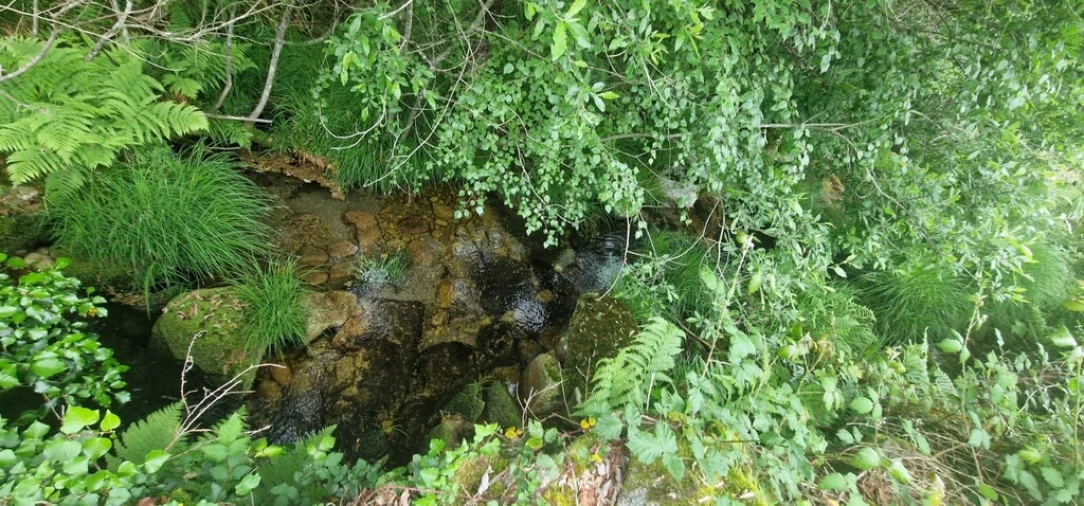Terreno para Venda em Ruivães e Campos Foto 38