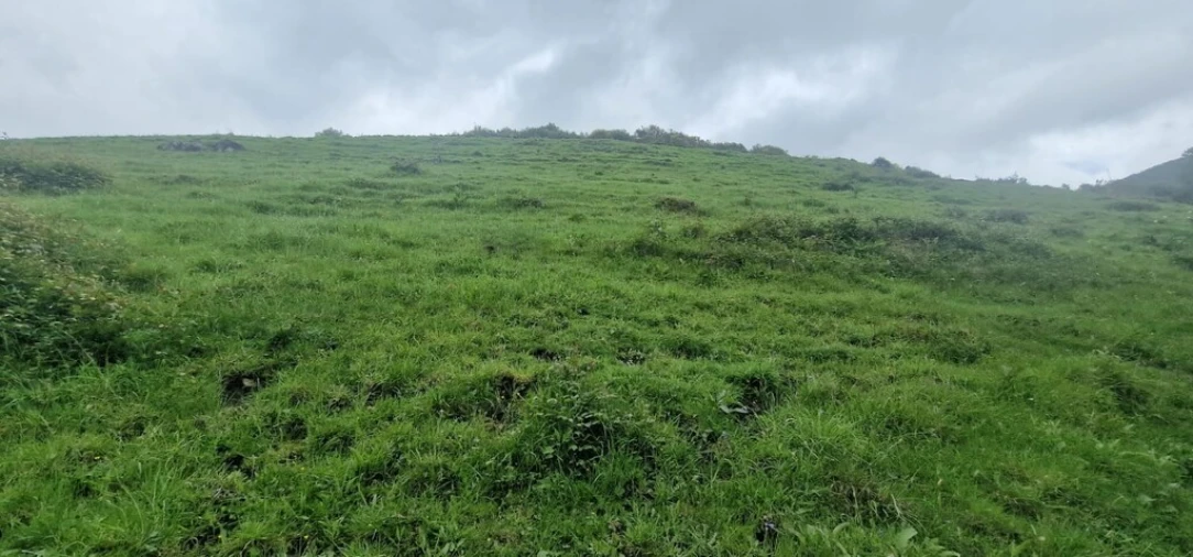 Terreno para Venda em Ruivães e Campos Foto 10