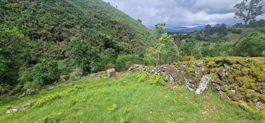 Terreno para Venda em Ruivães e Campos Foto 11