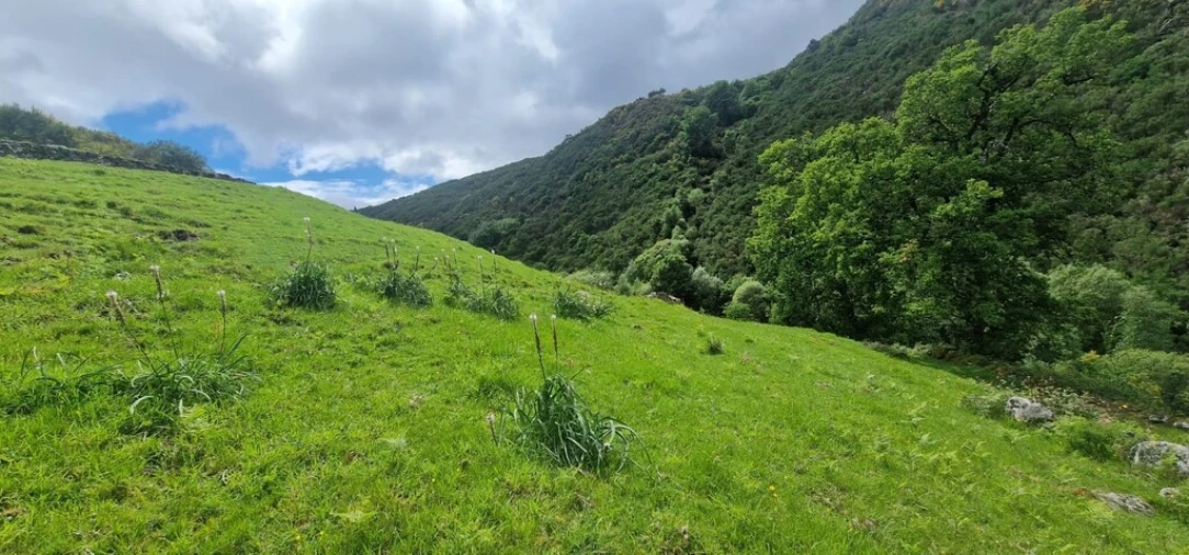 Terreno para Venda em Ruivães e Campos Foto 12
