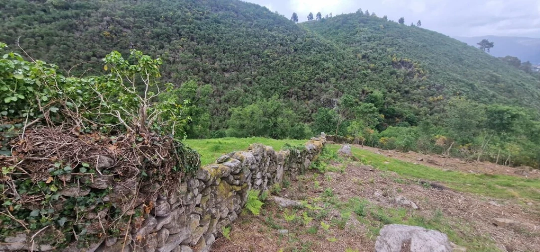 Terreno para Venda em Ruivães e Campos Foto 6