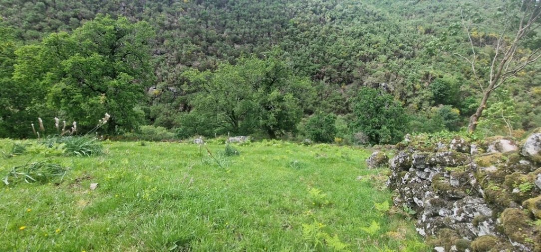 Terreno para Venda em Ruivães e Campos Foto 13